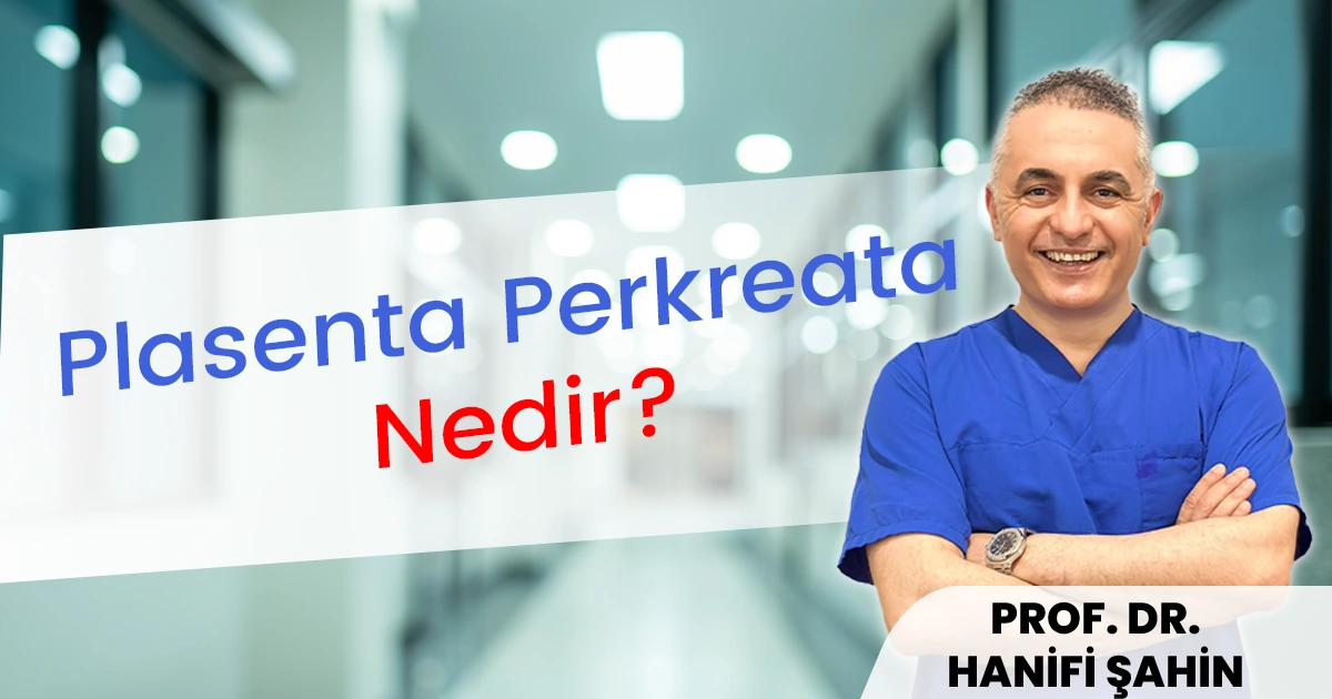 Plasenta Perkreata Nedir